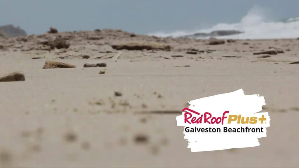 Red Roof Inn Plus + Galveston - Beachfront Buitenkant foto